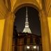 Blick auf die Mole Antonelliana von Turin-© Valerio Minato pH